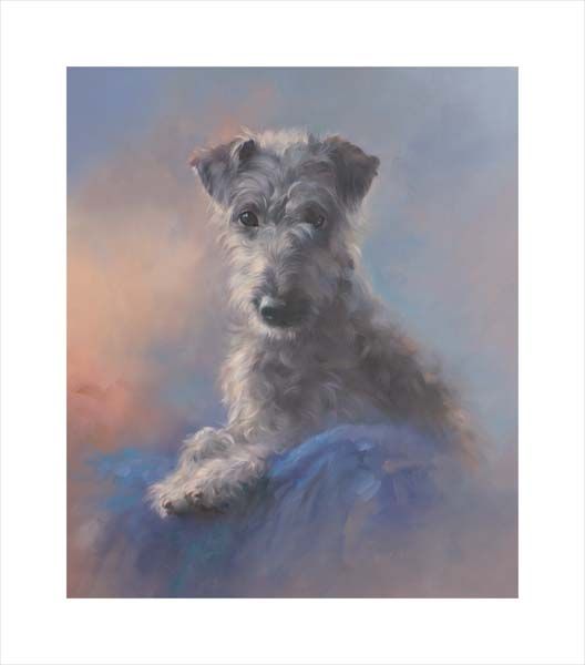 Dottie (Bedlington Terrier - Whippet Cross). A dog and canine wall art canvas lurcher print of a crufts dog show breed by Jacqueline Stanhope. Signed limited edition.