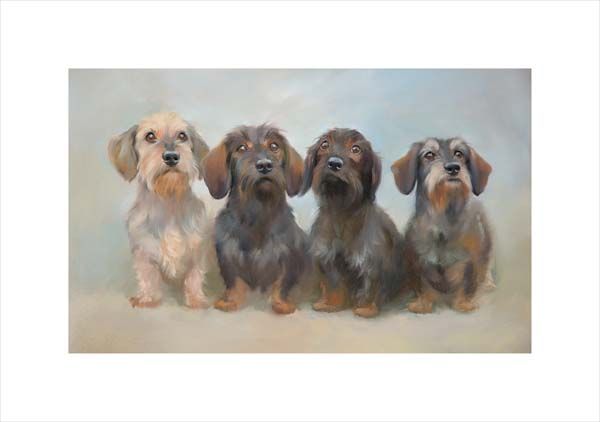 Gang of Four (Miniature Wire Haired Dachshunds). A dog and canine wall art canvas print of a crufts dog show breed by Jacqueline Stanhope. Signed limited edition.