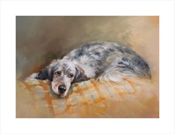 English Setter. A dog and canine wall art canvas print of a crufts dog show breed by Jacqueline Stanhope. Signed limited edition.