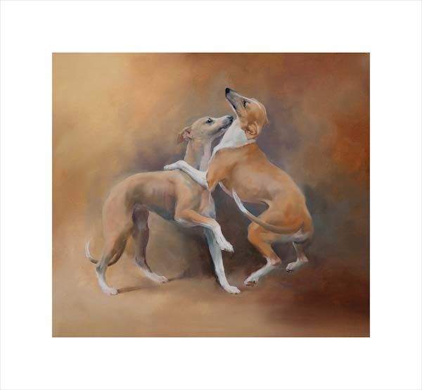 Sighthounds. A dog and canine wall art canvas print of a crufts dog show breed by Jacqueline Stanhope. Signed limited edition.