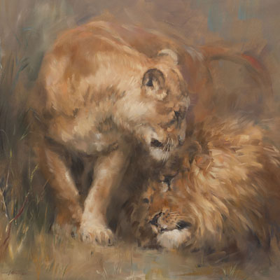A wildlife and big cat canvas wall art print of a lion and lioness by Jacqueline Stanhope. Signed limited edition.