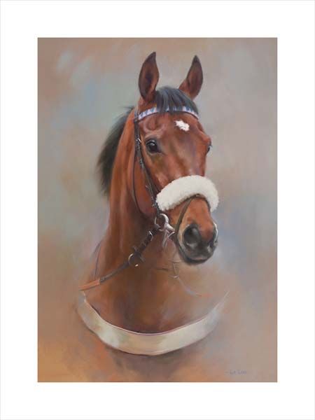 Cue Card. An equine, equestrian, racehorse and horse wall art canvas print by Jacqueline Stanhope. Signed limited edition.