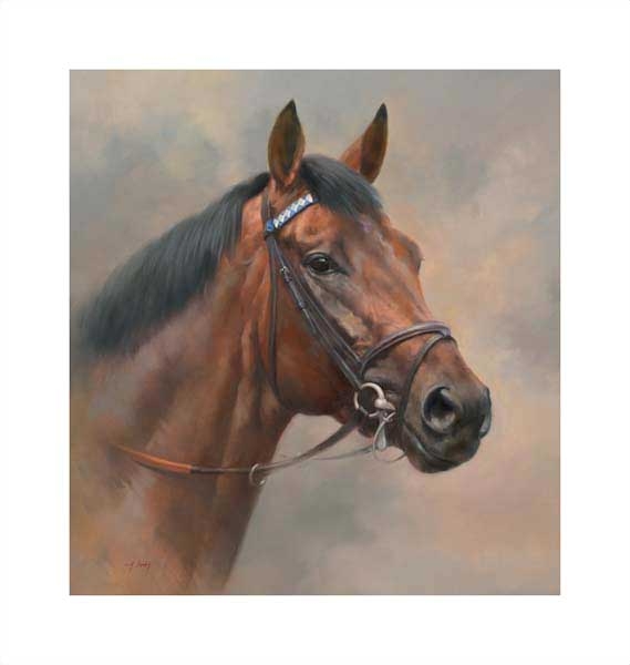 An equine, equestrian, racehorse and horse wall art canvas print of champion racehorse Baeed by Jacqueline Stanhope. Signed limited edition.