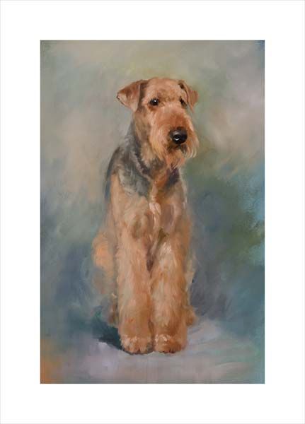 Airedale Terrier. A dog and canine wall art canvas print of a crufts dog show breed by Jacqueline Stanhope. Signed limited edition.