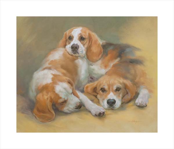 Beagles. A dog and canine wall art canvas print of a crufts dog show breed by Jacqueline Stanhope. Signed limited edition.