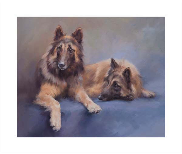 Belgian Shepherd Dogs (Tervueren). A dog and canine wall art canvas print of a crufts dog show breed by Jacqueline Stanhope. Signed limited edition.