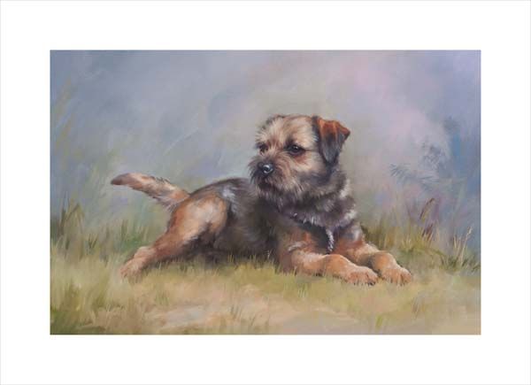 Border Terrier. A dog and canine wall art canvas print of a crufts dog show breed by Jacqueline Stanhope. Signed limited edition.