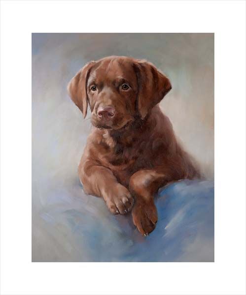 Chocolate Labrador Retriever Pup. A dog and canine wall art canvas print of a crufts dog show breed by Jacqueline Stanhope. Signed limited edition.