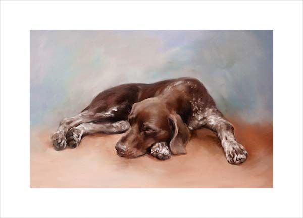 German Shorthaired Pointer. A dog and canine wall art canvas print of a crufts dog show breed by Jacqueline Stanhope. Signed limited edition.