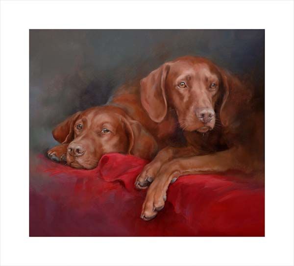Hungarian Vizslas. A dog and canine wall art canvas print of a crufts dog show breed by Jacqueline Stanhope. Signed limited edition.