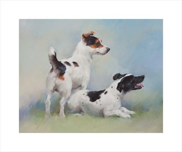 Jack Russell Terriers. A dog and canine wall art canvas print of a crufts dog show breed by Jacqueline Stanhope. Signed limited edition.