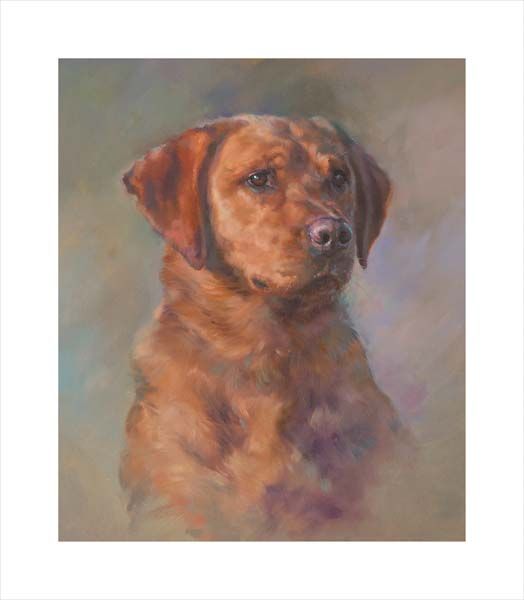 Labrador Retriever. A dog and canine wall art canvas print of a crufts dog show breed by Jacqueline Stanhope. Signed limited edition.
