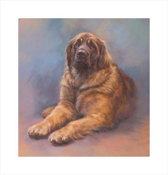Leonberger. A dog and canine wall art canvas print of a crufts dog show breed by Jacqueline Stanhope. Signed limited edition.