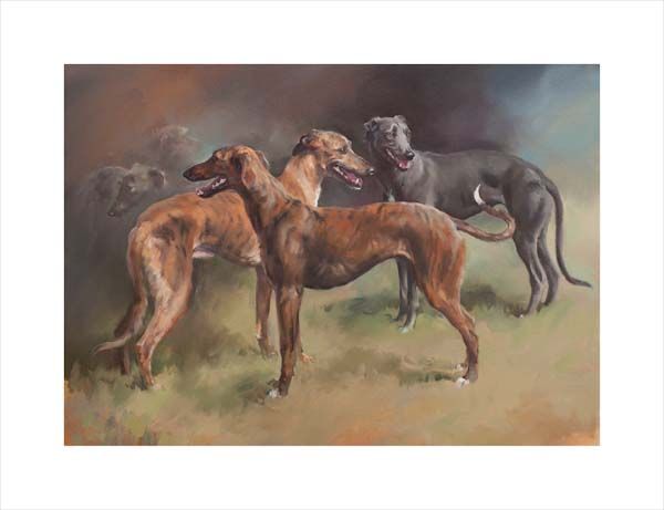Sighthounds, greyhounds and lurchers. A dog and canine wall art canvas print of a crufts dog show breed by Jacqueline Stanhope. Signed limited edition.