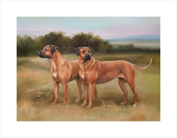 Rhodesian Ridgebacks. A dog and canine wall art canvas print of a crufts dog show breed by Jacqueline Stanhope. Signed limited edition.