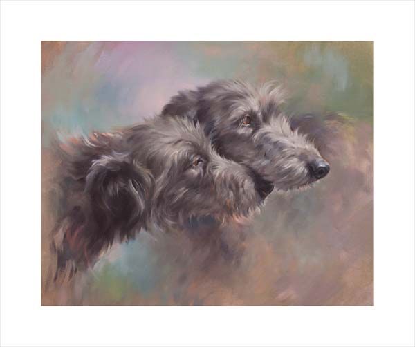 Sighthounds. A dog and canine wall art canvas print of a Deerhound crufts dog show breed by Jacqueline Stanhope. Signed limited edition.