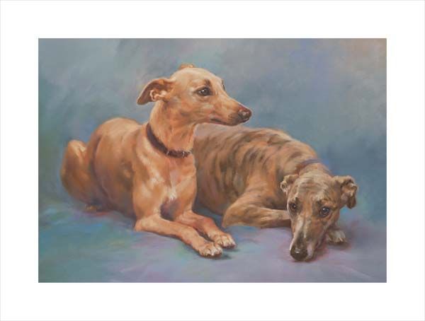 Sighthounds. A dog and canine wall art canvas print of a crufts dog show breed by Jacqueline Stanhope. Signed limited edition.