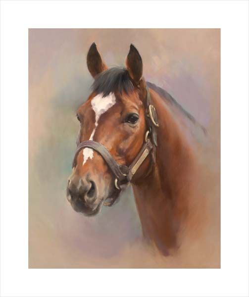 Galileo at Coolmore Stud. An equine, equestrian, racehorse and horse wall art canvas print of Epsom Derby winner and stallion Galileo by Jacqueline Stanhope. Signed limited edition.