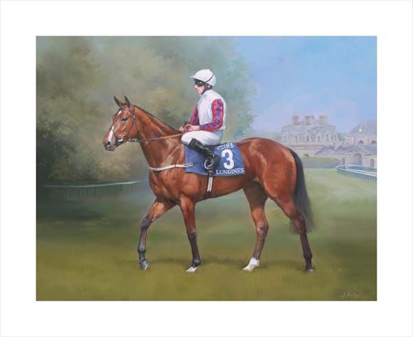 An equine, equestrian, racehorse and horse wall art canvas print of Laurens and jockey P. J. McDonald by Jacqueline Stanhope. Signed limited edition.