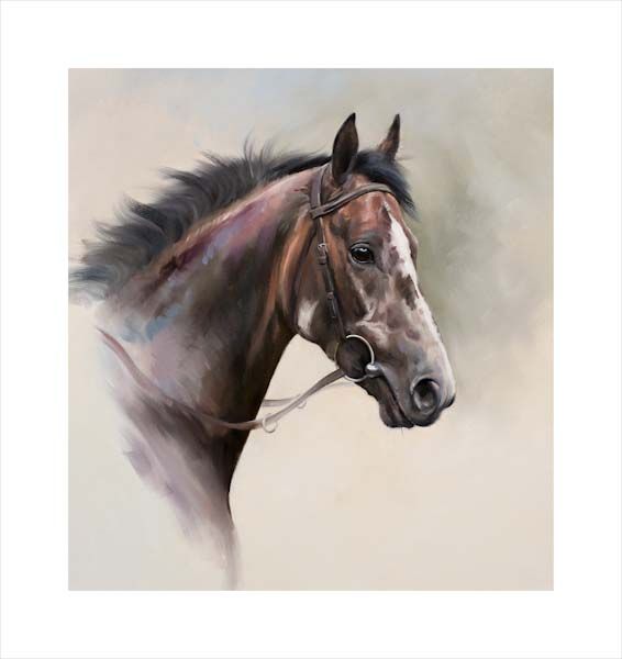 An equine, equestrian, racehorse and horse wall art canvas print of stallion Mastercraftsman at Cooolmore Stud by Jacqueline Stanhope. Signed limited edition.