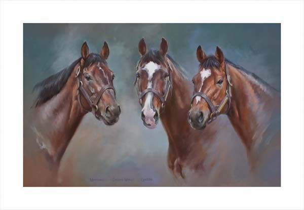 An equine, equestrian, racehorse and horse wall art canvas print of stallions Montjeu, Sadler's Wells and Galileo by Jacqueline Stanhope. Signed limited edition.