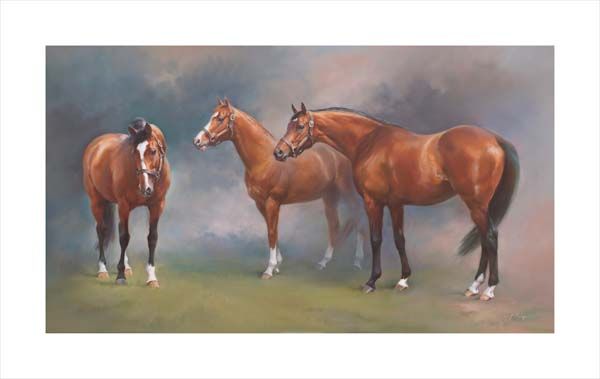 An equine, equestrian, racehorse and horse wall art canvas print of Northern Dancer, Nijinsky and The Minstrel by Jacqueline Stanhope. Signed limited edition.