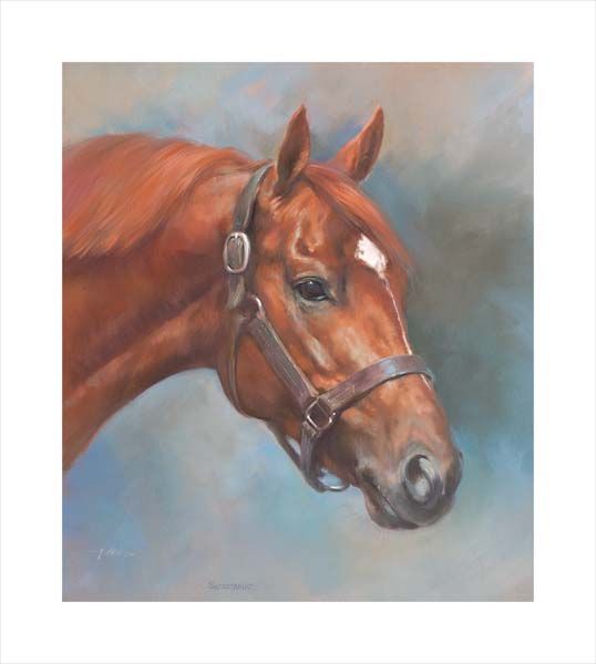 An equine, equestrian, racehorse and horse wall art canvas print of Triple Crown winner Secretariat by Jacqueline Stanhope. Signed limited edition.