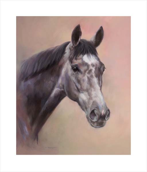 An equine, equestrian, racehorse and horse wall art canvas print of champion racehorse Winter by Jacqueline Stanhope. Signed limited edition.