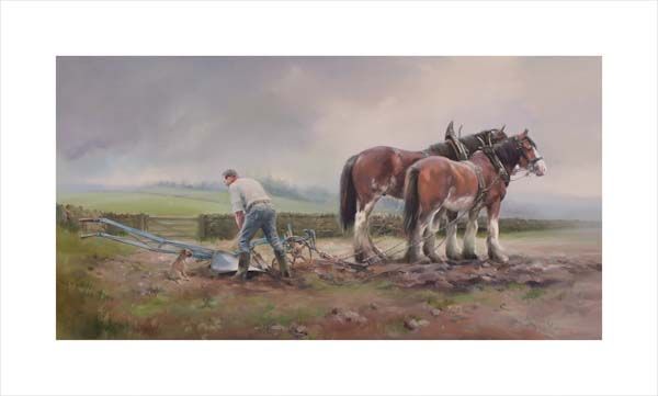 Borderland. An equine, equestrian and horse wall art canvas print of two heavy horse Clydesdales ploughing by Jacqueline Stanhope. Signed limited edition.