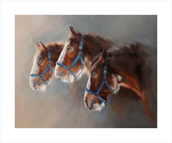 An equine, equestrian and horse wall art canvas print of three Clydesdale horses by Jacqueline Stanhope. Signed limited edition.