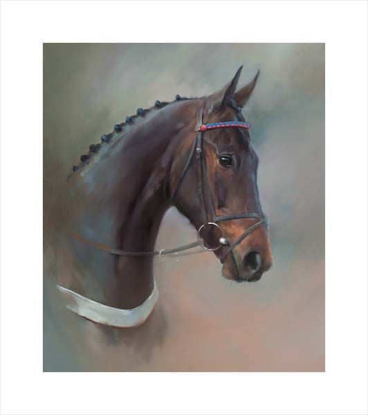 Sprinter Sacre. An equine, equestrian, racehorse and horse wall art canvas print of Sprinter Sacre at the Cheltenham Festival by Jacqueline Stanhope. Signed limited edition.