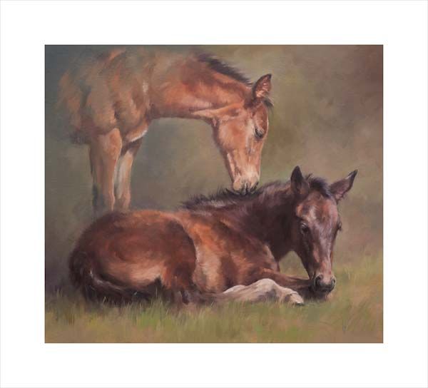 Friendship. An equine, equestrian and horse art canvas print of two foals in a paddock by Jacqueline Stanhope. Signed limited edition.