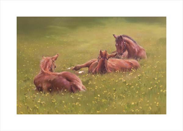 An equine, equestrian and horse art canvas print of three foals in a paddock by Jacqueline Stanhope. Signed limited edition.