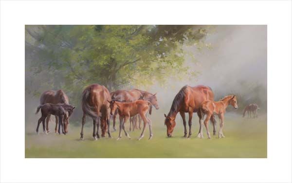 An equine, equestrian, racehorse and horse wall art canvas print of mares and foals in a paddock scene by Jacqueline Stanhope. Signed limited edition.