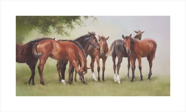An equine, equestrian and horse art canvas print weanlings in a paddock by Jacqueline Stanhope. Signed limited edition.