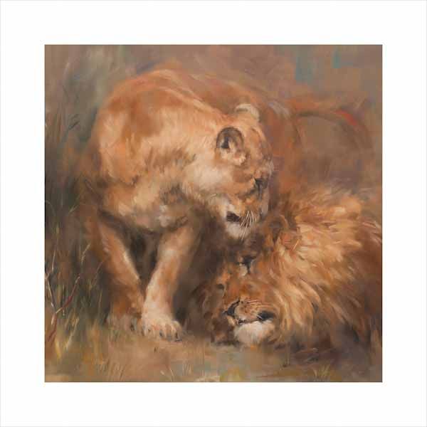 A wildlife and big cat canvas wall art print of a lion and lioness by Jacqueline Stanhope. Signed limited edition.